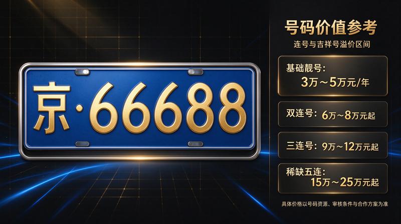 新能源车牌照政策